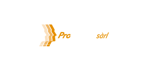 ProConseils Synergies Sàrl